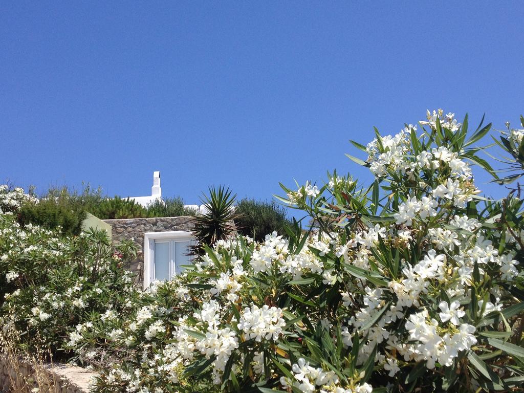 Mykonos Love Nest Ano Mera Quarto foto